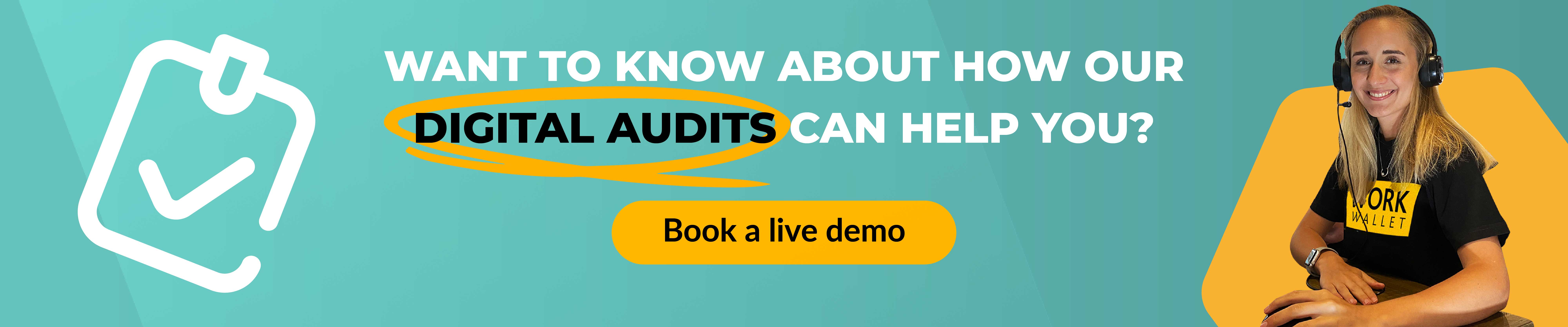 health and safety audit demo link