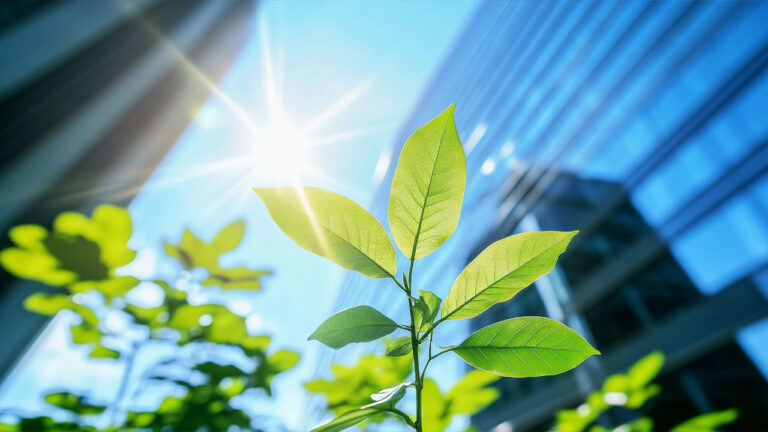 Green leaves growing in sunlight near modern office buildings